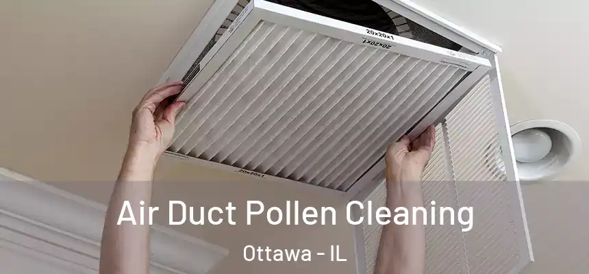 Air Duct Pollen Cleaning Ottawa - IL