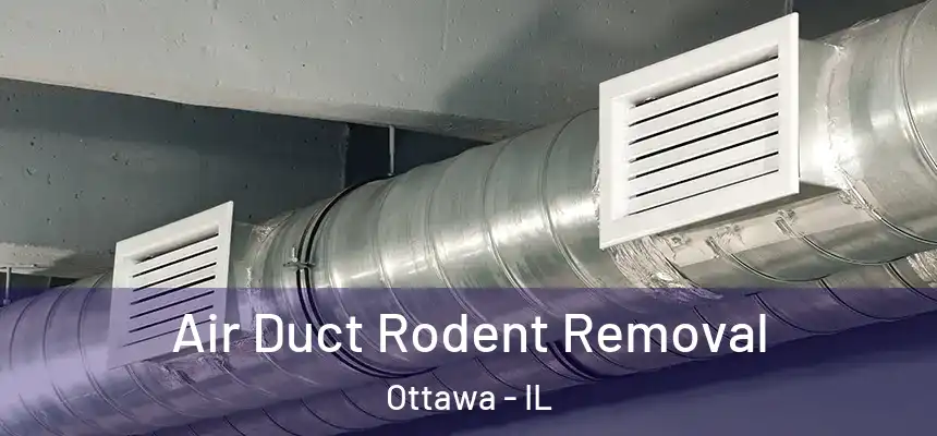  Air Duct Rodent Removal Ottawa - IL