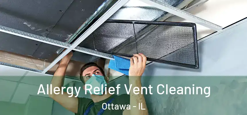Allergy Relief Vent Cleaning Ottawa - IL