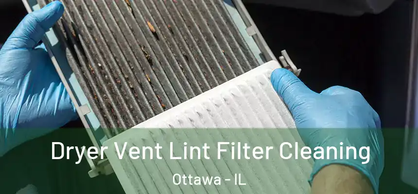  Dryer Vent Lint Filter Cleaning Ottawa - IL