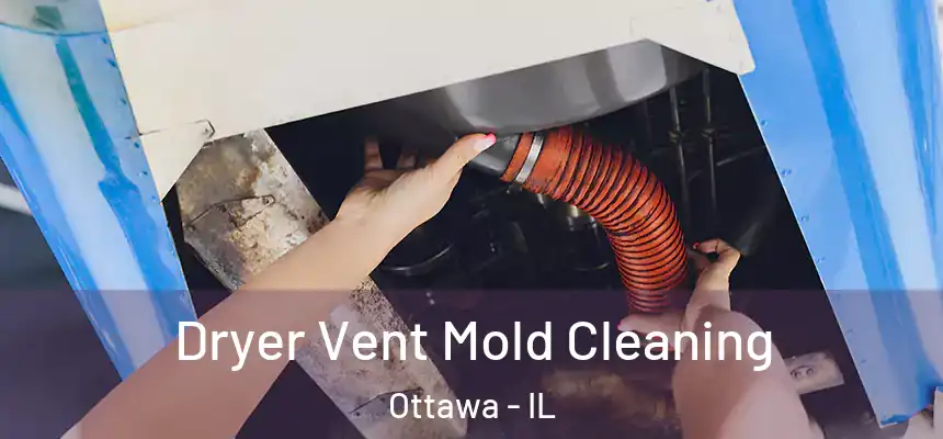 Dryer Vent Mold Cleaning Ottawa - IL