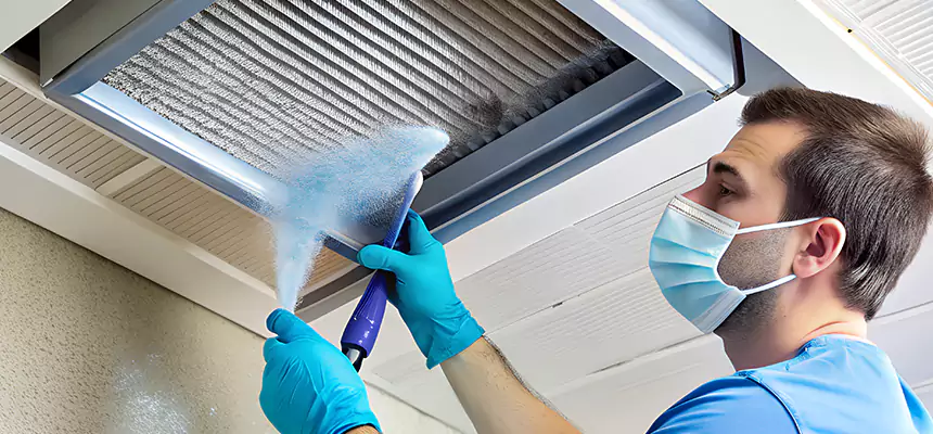Proactive Dryer Vent & Auxiliary Duct Pollen Cleanup in Ottawa, IL