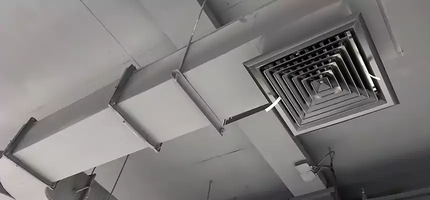 Restorative Allergy Relief Vent Cleaning – Coil, Blower & Housing Detail in Ottawa