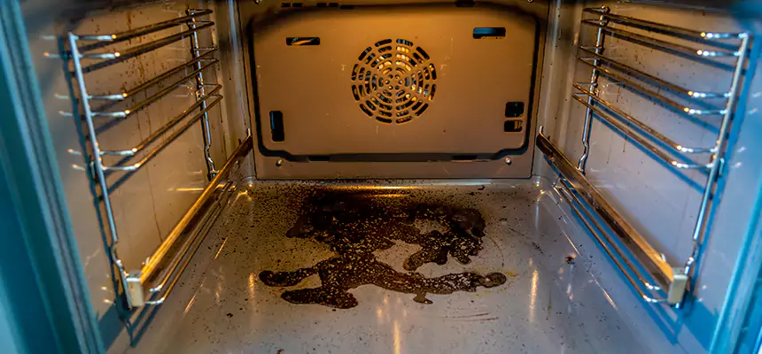 Our Dryer Vent Mold Cleaning Services in Ottawa, IL