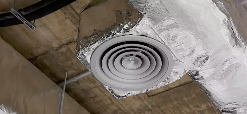 Our Excess Lint Removal from Dryer Ducts Services in Ottawa, IL