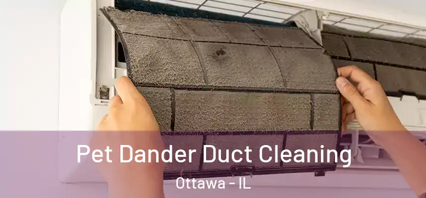  Pet Dander Duct Cleaning Ottawa - IL