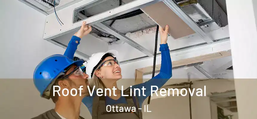  Roof Vent Lint Removal Ottawa - IL