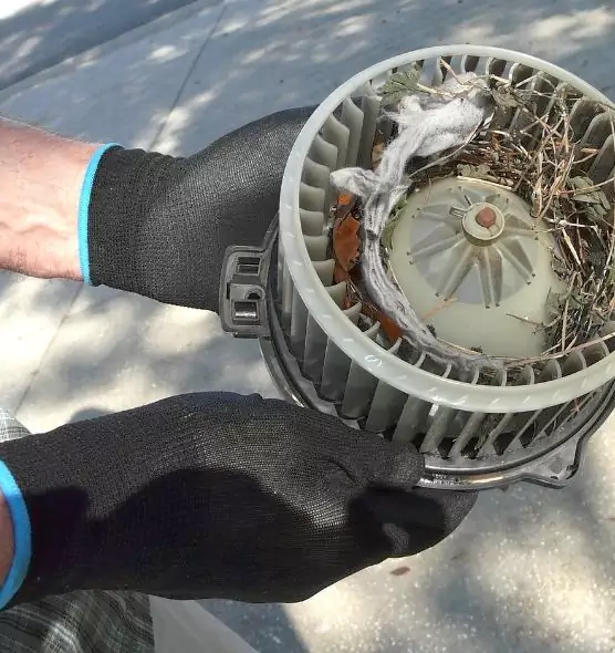 About Air Duct Mice Removal in Ottawa, IL