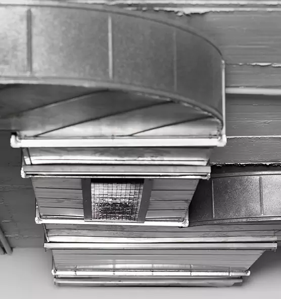 Professional Air Duct Pet Hair Removal in Ottawa, IL