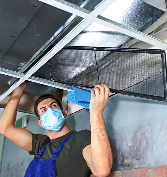 Professional Air Duct Pollen Cleaning in Ottawa, IL