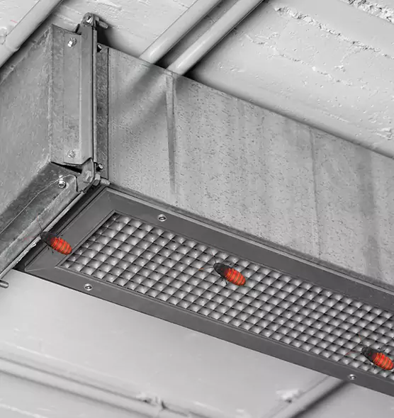 Affordable Insect Removal from Air Ducts in Ottawa, IL