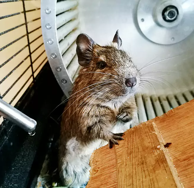 Why Homeowners & Businesses Trust Us Ottawa, IL